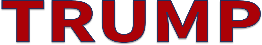 Trump Florida Domain Name - Sedo (1041x288)