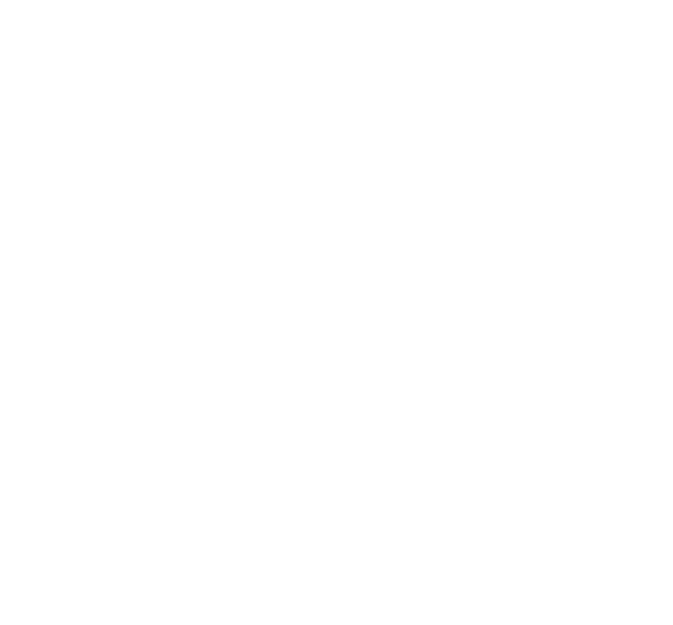Logo - Lifespring Wesleyan Church (750x697)