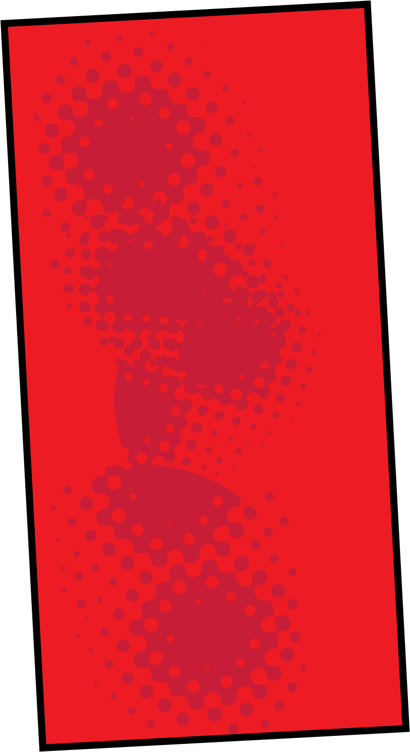 Skateboard Deck (850x1500)