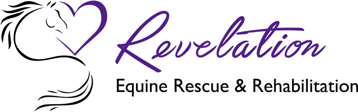 Logo - Regla De Ruffini (800x292)