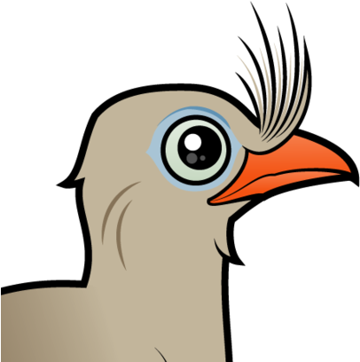 About The Red-legged Seriema - About The Red-legged Seriema (440x440)