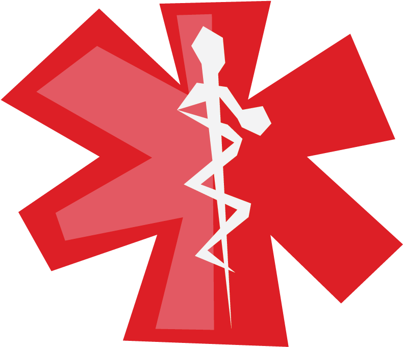 Lifeline Legislation - Flight Paramedic Logo (900x900)