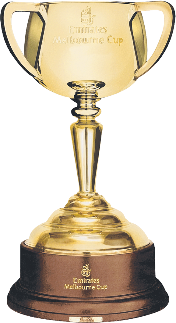 Who Are The Favourites For A Melbourne Cup Flutter - Melbourne Cup (969x1318)