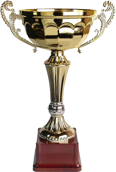 Завершились Розыгрыши Кубка Сгу По Шахматам И Фехтованию - Кубок Первое Место Пнг (451x600)