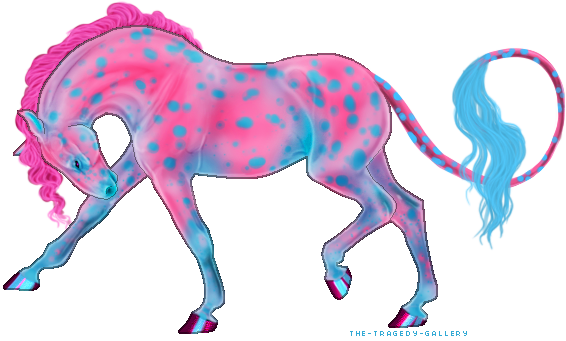 Appaloosa X Saddlebred X Thoroughbred Mix - Mane (566x341)