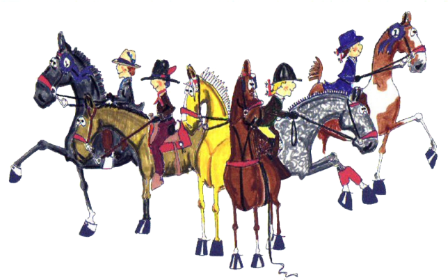 American Saddlebred International Youth Program 643 - Stallion (643x409)