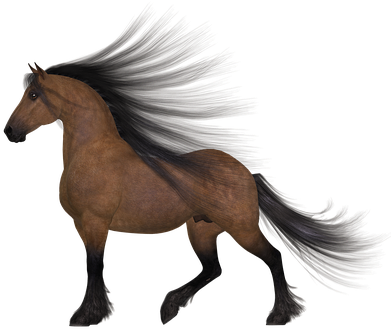 Horse Brown Mane Wind Stand Animal Brown H - Wind Animal (418x340)