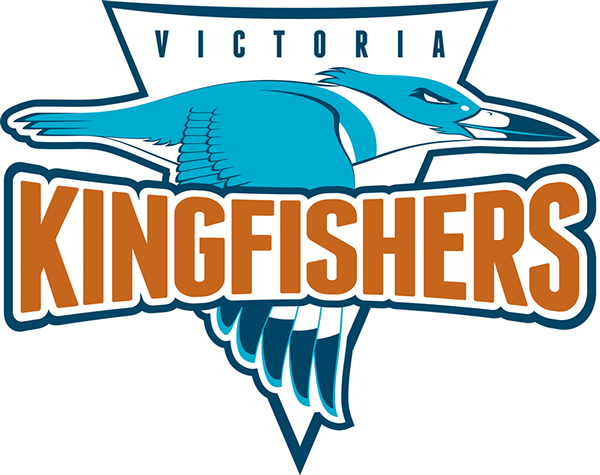 Kingfisher (600x475)