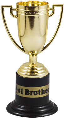 #1 Brother Gold Trophy - Little Trophy (500x500)