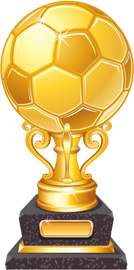 Rmpl Trophy Gold - Football Trophy Png (315x591)