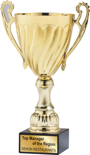 Gold Metal Cup Trophy - Award Cup (292x500)