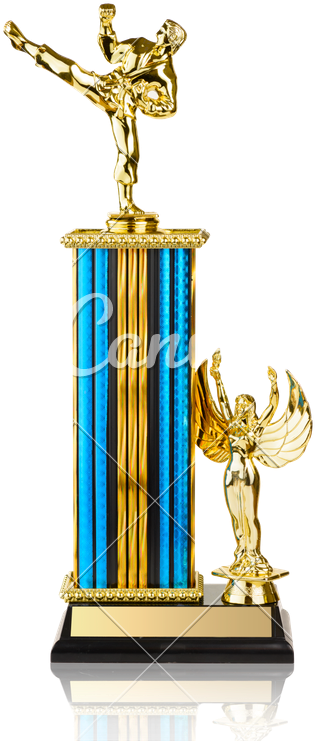 Gold Martial Arts Trophy - Trophy (537x800)