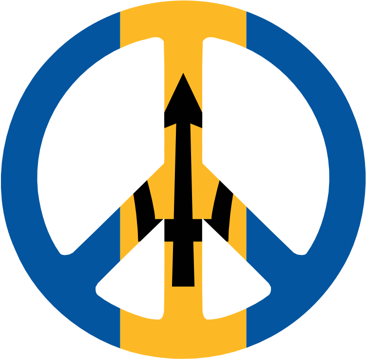 2011 » June Flagartist - Portrait Of A Man (777x777)