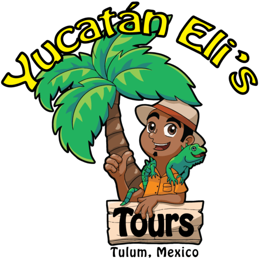 Welcome To Yucatán Eli's Tours - Yucatán (512x512)