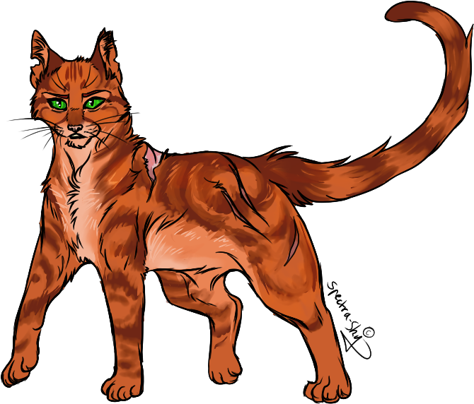 Cat - Digital Art (800x657)