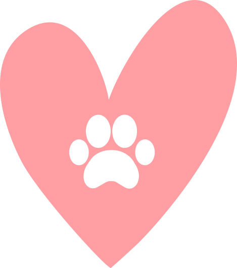 It Was As Though He Could See Beyond Our Deeds Right - Kissed A Dog And I Liked Ocolate Xx-large (469x531)