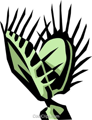 Plant - Venus Fly Trap Clipart (366x480)
