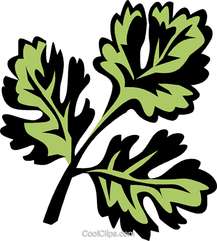Coriander Royalty Free Vector Clip Art Illustration - Coriander Clipart (432x480)