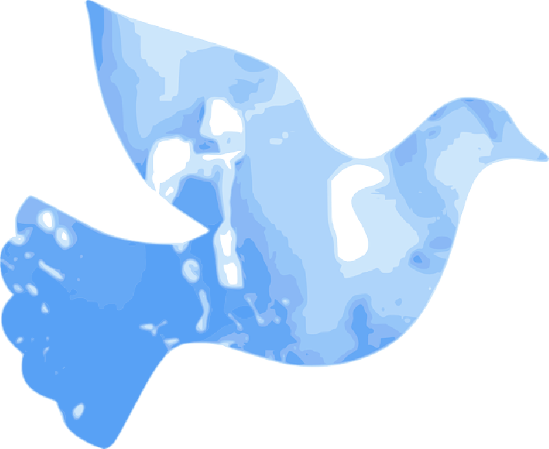 Turtle, Water, Simple, Outline, Drawing, Silhouette - Dove Water (800x655)