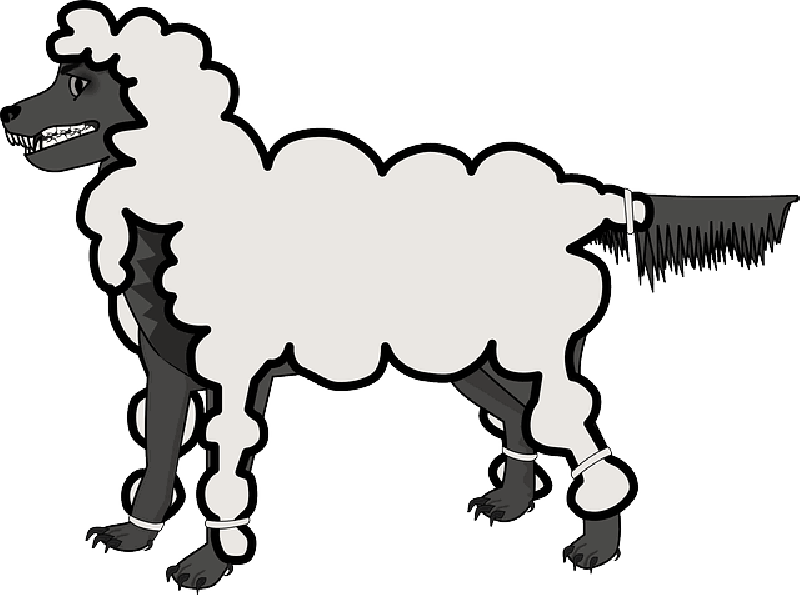 Wolf, Sheep, Clothing, Disguise, Villain, - Wolf In Sheeps Clothing Clipart (800x595)