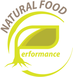 Natural Food Performance, Llc - Mooney Aircraft (500x386)