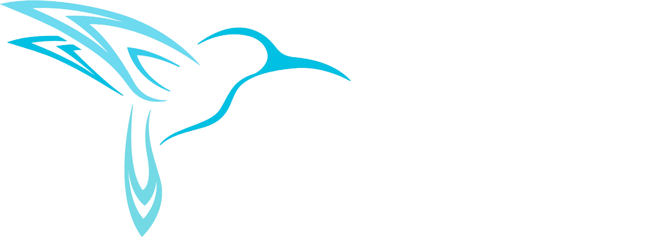 Baby Blue Film - Colibri Drawing (2325x828)