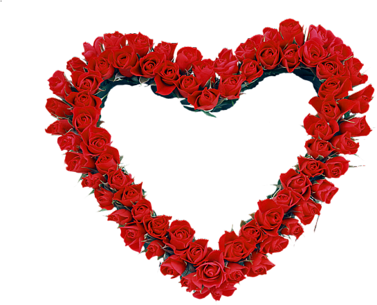 Red Heart Roses Transparent Frame - Jolies Fleurs De Saints Valentin (600x480)