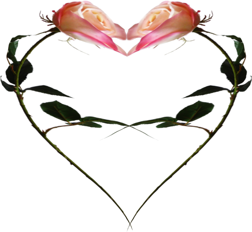 Rose In Heart By Theartist100 - Heart (894x894)