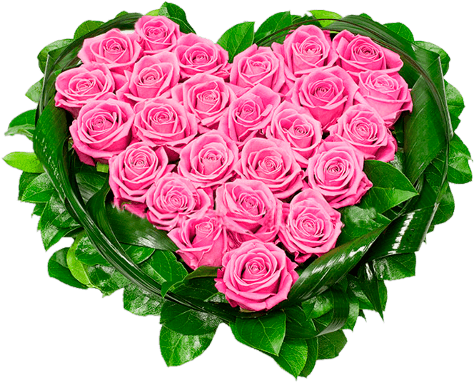 Heart Of Pink Roses Png Clipart Picture - Pink Roses Heart Png (705x578)