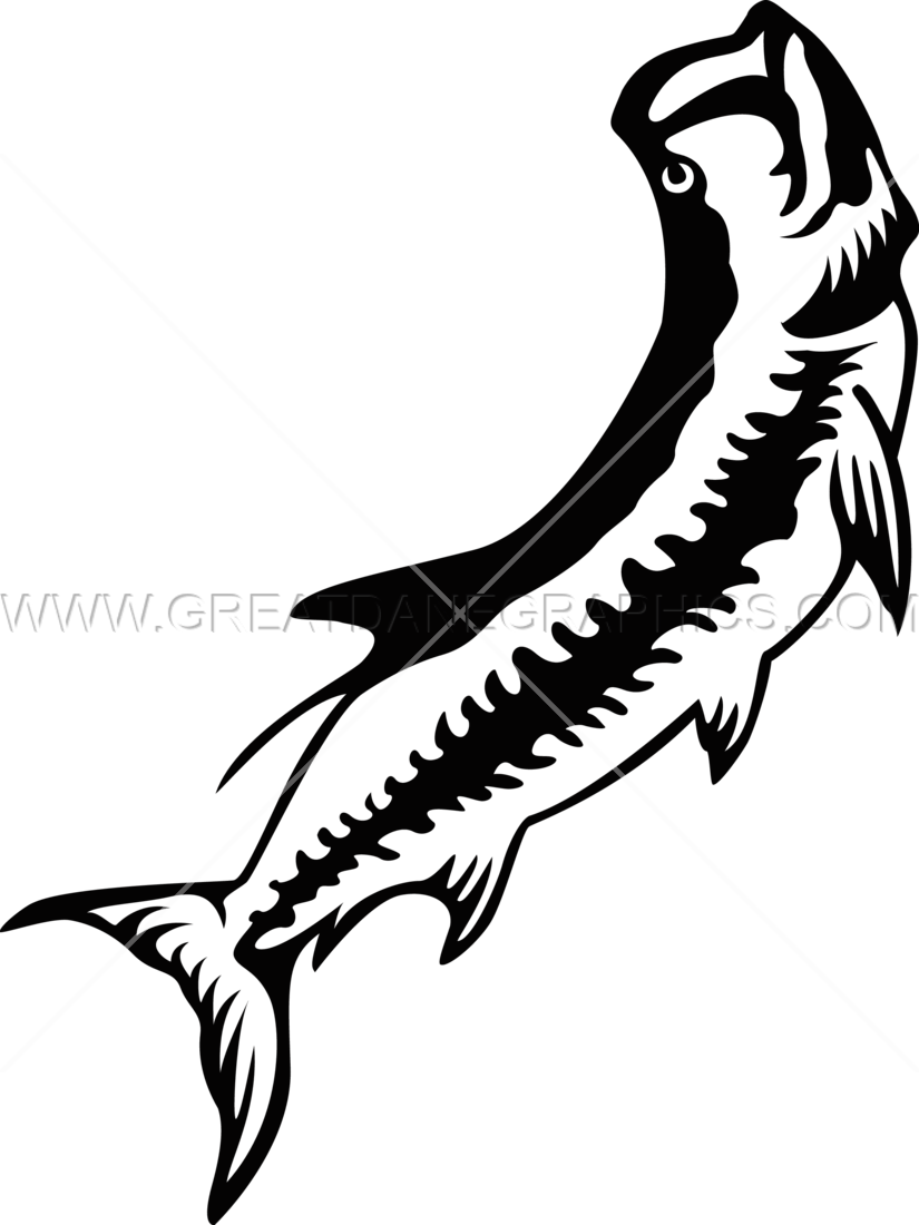 Tarpon - Illustration (825x1100)