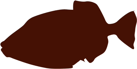 Fish Silhouette - Scalable Vector Graphics (512x512)