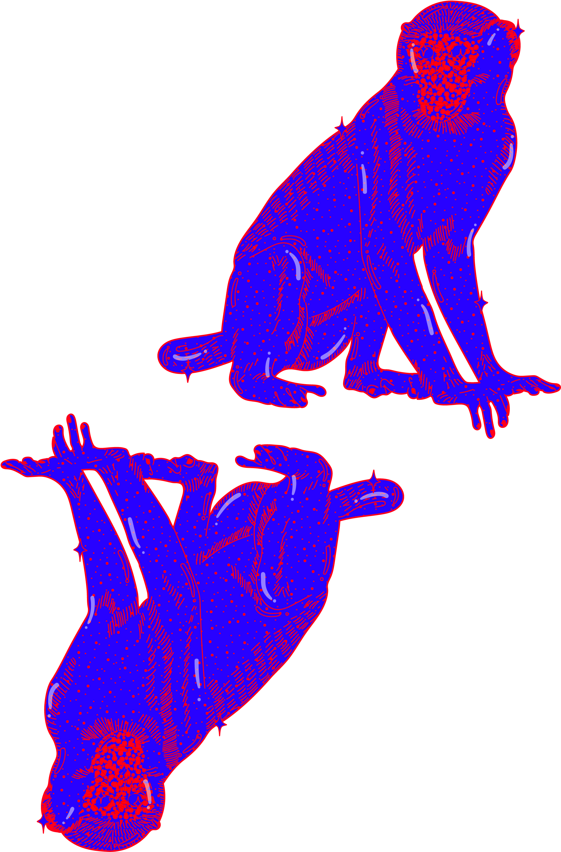 What Your Chinese Zodiac Sign Says About You - What Your Chinese Zodiac Sign Says About You (2000x3000)