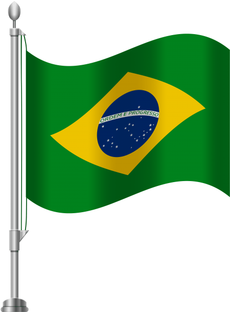 Free Png Brazil Flag Png Images Transparent - Brazil Flag Png (480x626)