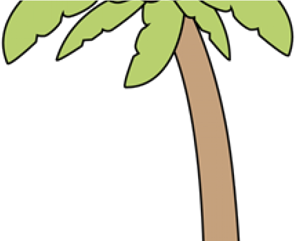 Palm Tree Clipart Plam Tree - Palm Tree Clipart Plam Tree (640x480)