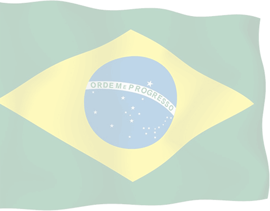 Brazilian Flag - Transparent Brazilian Flag (550x430)