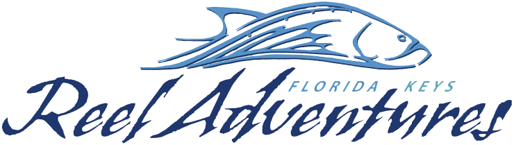 Blog Updates - Florida Keys Reel Adventures (740x209)