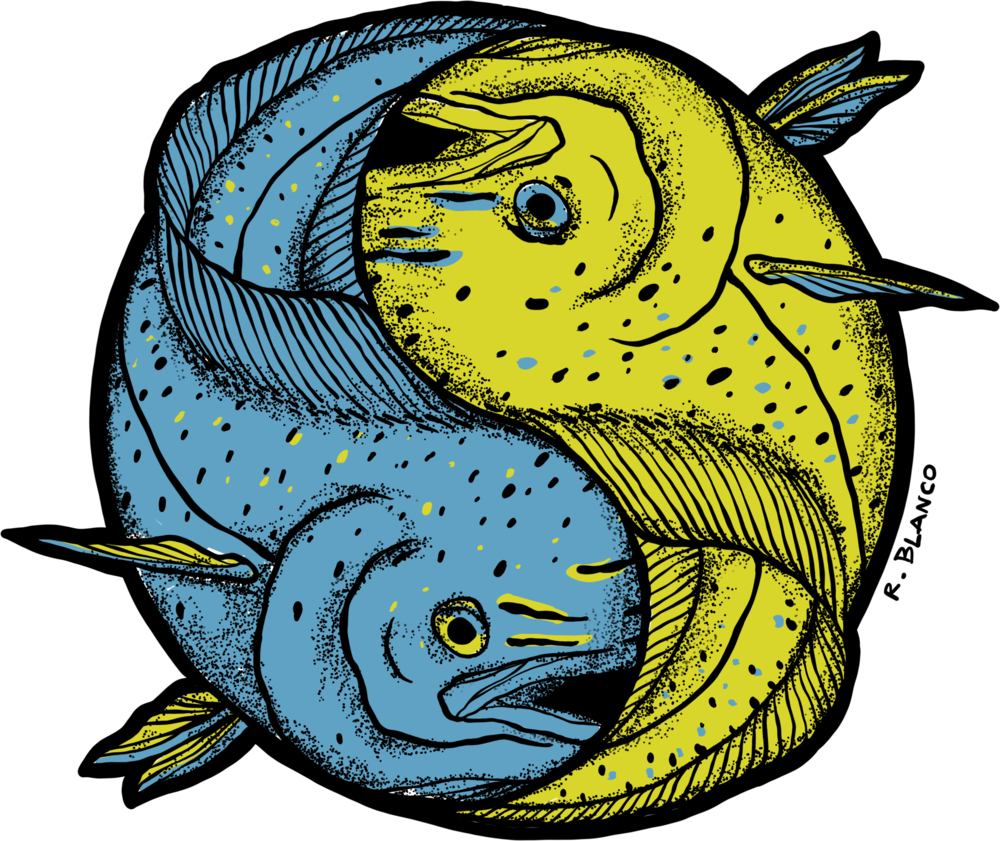 Duality - Coral Reef Fish (1000x841)