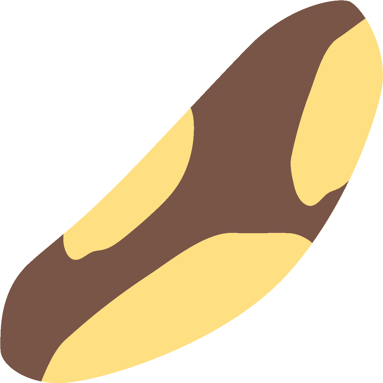Brazil Nut Icon - Brazil Nut (1600x1600)