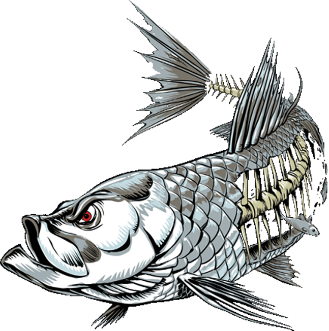 Tarpon - Tarpon Skeleton (647x652)