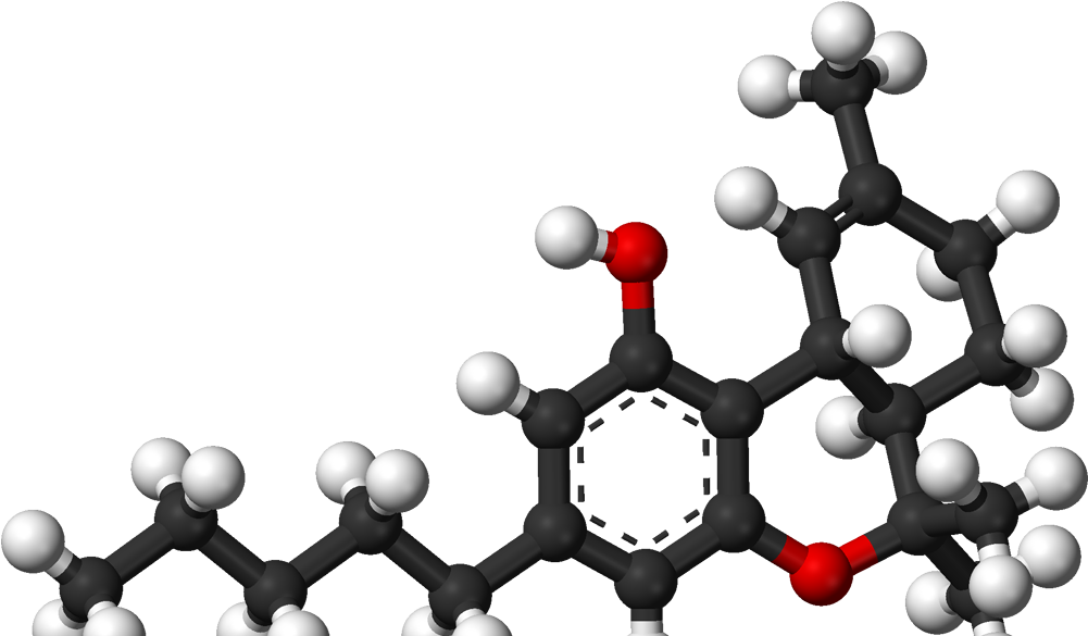 Remixx World - Encyclopaedia Of Genomics (1100x630)