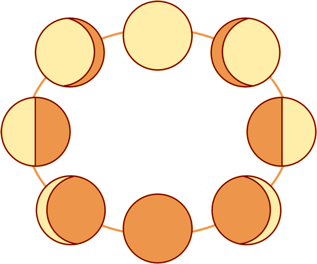 Gestate - Phases Of The Moon Quiz (1282x1070)