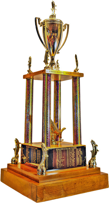 Gold Cup Trophy - Tournament Cup (402x720)