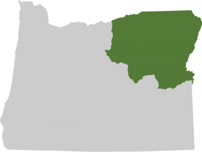 The Columbia Basin Offers Some Of The Best Bird Hunting - Blank Map Of Oregon (405x305)