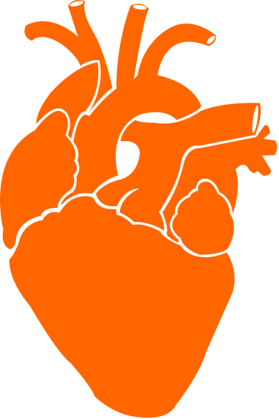 160 × 240 Pixels - 160 × 240 Pixels (400x600)