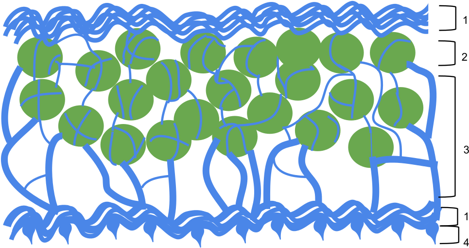 Open - Foliose Lichen (1000x551)