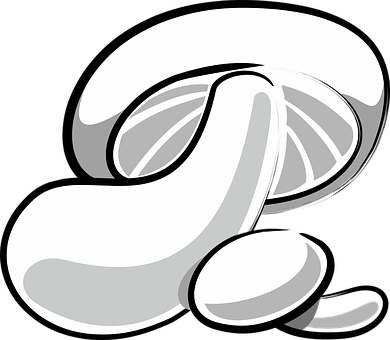 Mushroom, Fungi, Fungus, White - เห็ด กราฟฟิก (390x340)
