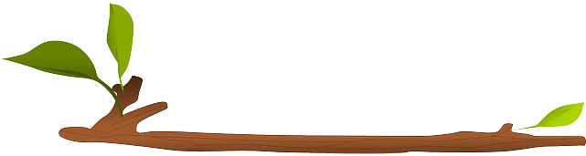 Bud Twig, Branch, Knag, Bud - Ranting Vector (640x320)