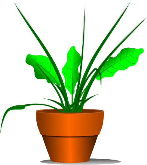 Potted Plant Clipart Black And White - Plant Clipart With Transparent Background (489x550)