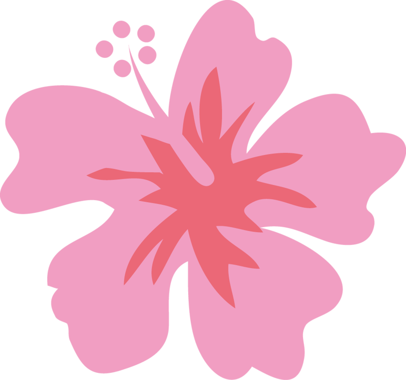 Hawaiian Luau - Moana Flower Png (800x748)