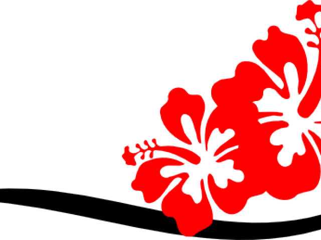 Hibiscus Clipart Divider - Hibiscus Clip Art (640x480)